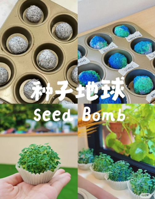 会发芽的地球